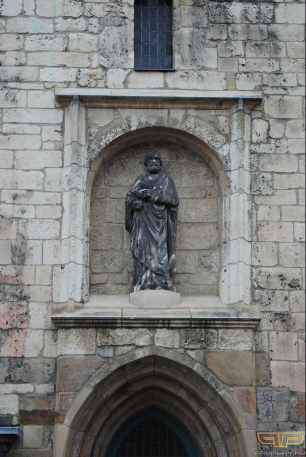 ���� ���������